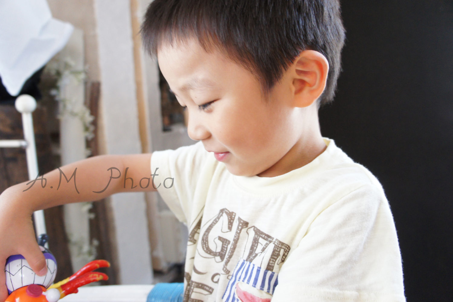 岡山のエーエムフォト